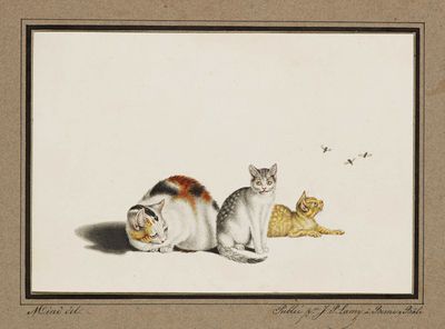 painting of two cats and a catnip on a white background