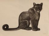 painting of a black cat sitting on a white surface