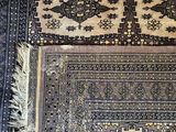 a cat sitting on a rug on the floor