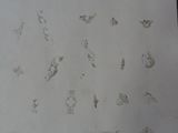 a piece of paper with drawings on it on a table