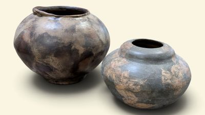 deux vases posés l'un à côté de l'autre sur une table