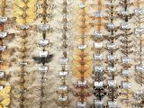 many different types of insects displayed on the wall