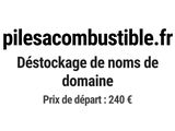 Photo 1/1 du lot