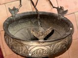 a bird that is sitting on a birdbath