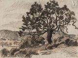 drawing of a tree on a hill with hills in the background