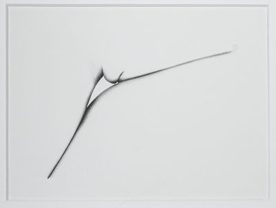 une image représentant un dessin en noir et blanc d'une fleur