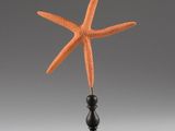 une étoile de mer orange posée sur un socle noir, sur fond gris
