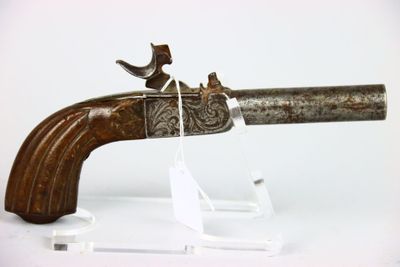 un fusil orné d'un oiseau, posé sur un socle transparent