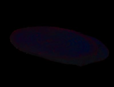 a black background with a picture of a dark object in the dark