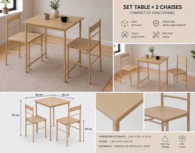 une table et deux chaises, avec une plante posée dessus
