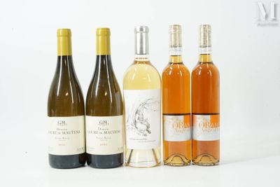 plusieurs bouteilles de vin sont alignées sur une surface blanche