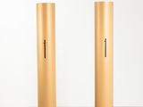 pair of brass pedestals with black bases on a white surface