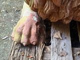 a statue of a lion that is sitting on a piece of wood