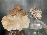 a glass display case with a lot of rocks and other items