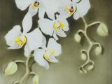 a picture of a painting of a white flower on the wall