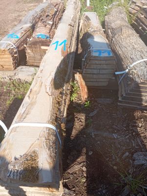 2 Billes de frêne longueur 3.6m pour l'une et 2 m pour l'aut…