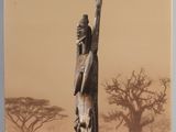 la couverture d'un livre représentant une statue de femme suspendue à un arbre