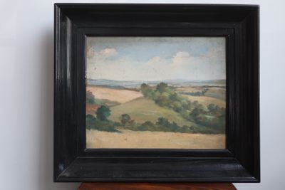 une photo d'un tableau représentant un paysage, dans un cadre noir