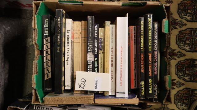 Carton de 20 livres sur le Cinéma.