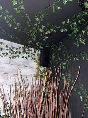 une plante qui pousse à partir d'une plante en pot