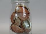 a glass jar filled with shells and shells in it