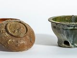 deux vases posés l'un à côté de l'autre sur une surface blanche