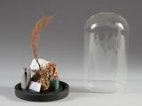 un petit vase en verre contenant une petite plante