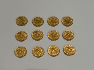 a lot of gold coins on a white surface