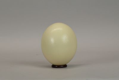 a white egg sitting on top of a wooden stand