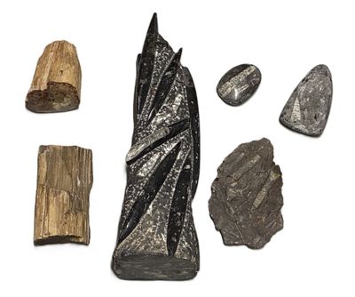 a close up of a group of rocks and stones on a white surface