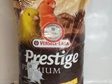 un sac de nourriture pour oiseaux « Prestige Premium » posé sur le comptoir