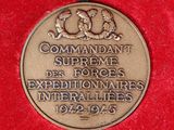an image of a bronze medal with the words commander of the force and a picture of a dog on it