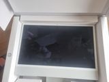 a bird that is sitting in the window sill