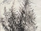 une image représentant un dessin d'une montagne avec des arbres au premier plan