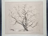 a black and white drawing of a tree with no leaves