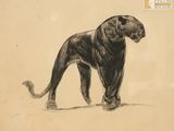 dessin représentant un lion en noir et blanc sur un fond beige