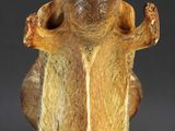 an image of a ceramic figurine of a monkey