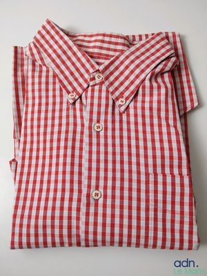 red and white gingham shirt on a white background