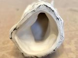 a close up of a small white vase on a table