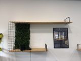two shelves with plants on them and a picture on the wall
