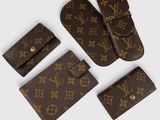 Ensemble portefeuille et porte-cartes Louis Vuitton