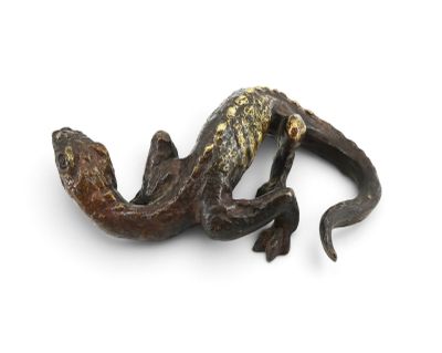 a lizard that is laying down on a white surface