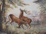 deux cerfs qui courent ensemble dans les bois