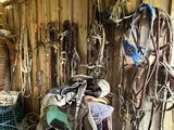 beaucoup d'articles d'équitation et de selles dans un hangar