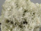 a close up of a cluster of white crystals