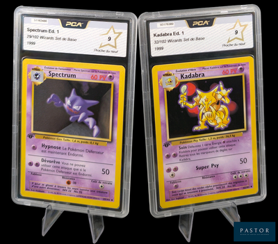 Deux cartes Pokémon sont présentées dans des pochettes en plastique sur un fond noir.