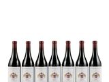 six bottles of red wine lined up in a row