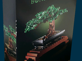 une boîte de Lego sur laquelle est représenté un bonsaï