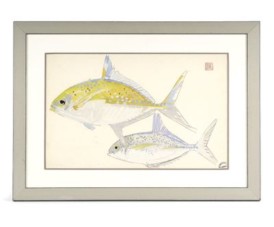 deux poissons sont représentés dans un cadre blanc sur un fond blanc
