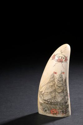 une image représentant un objet en forme de dent de baleine sur un fond noir